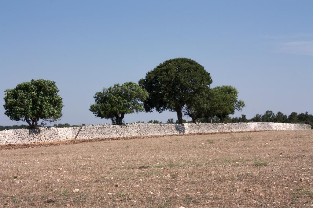 Trulli Sarmenzanello Apartamento Noci Quarto foto