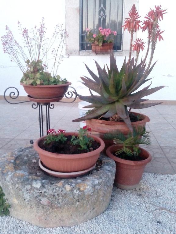 Trulli Sarmenzanello Apartamento Noci Exterior foto